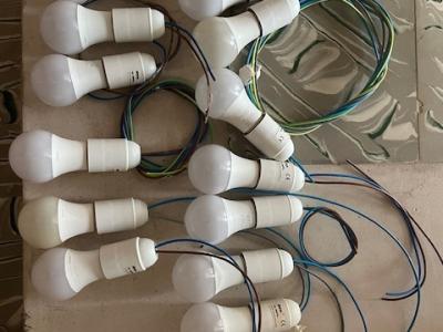 15 Glühbirnen mit Fassung