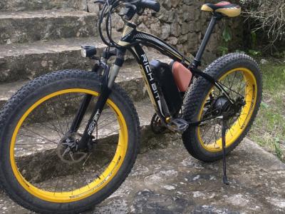 2 elektro Fatbikes von Richbit