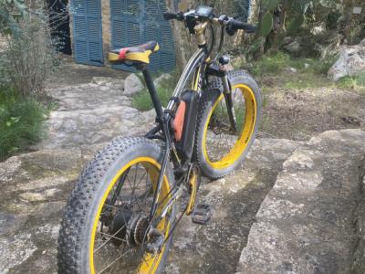 2 electric Fatbikes from Richbit