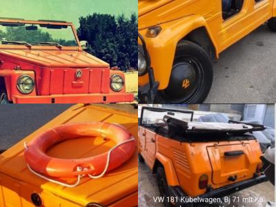 2 Haushaltsauflösungen:Pflanzen,