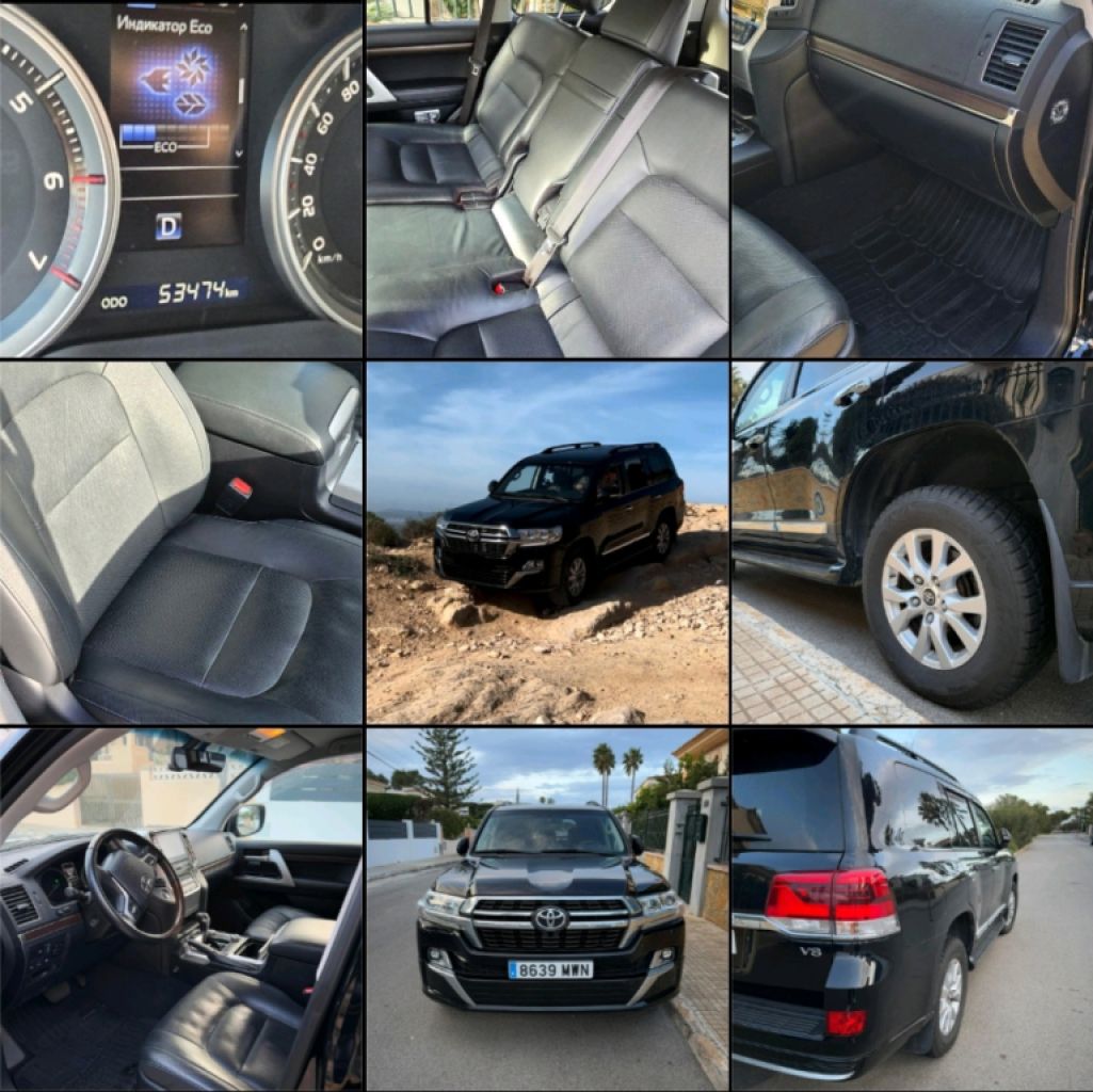 2 Household liquidations:Plants,