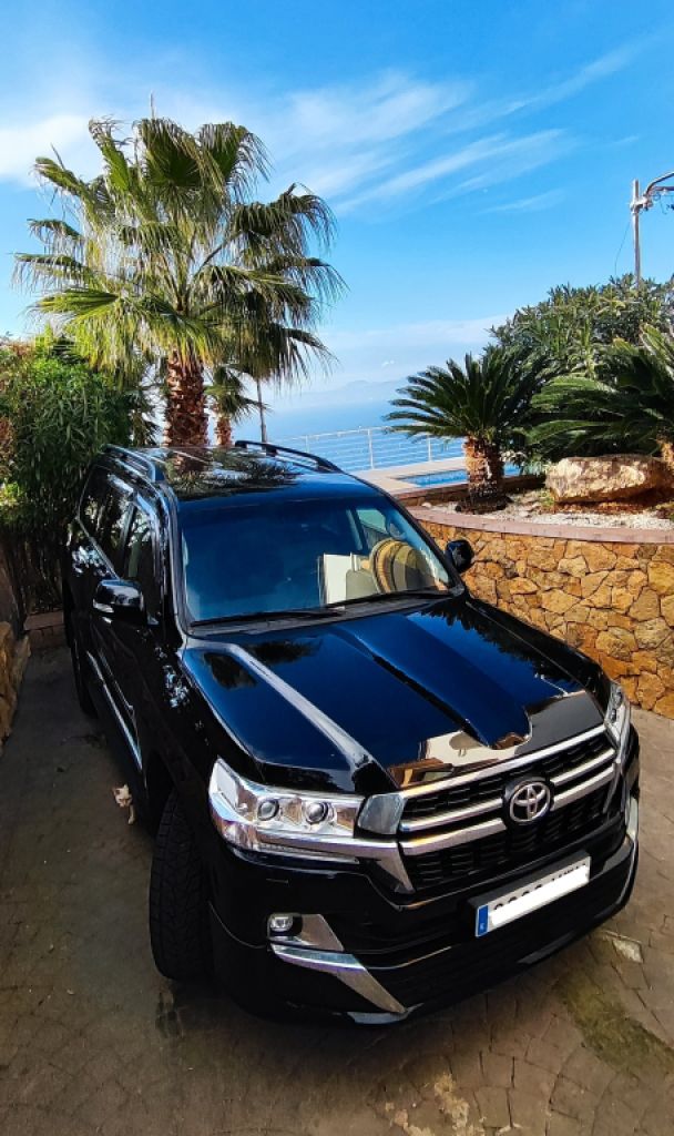 2 Household liquidations:Plants,