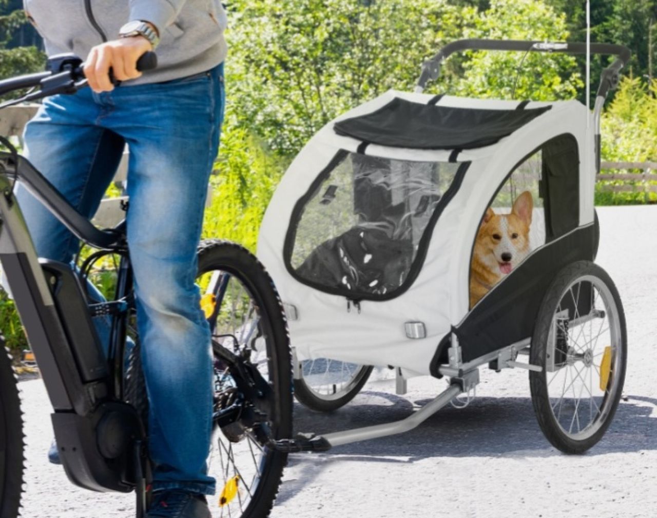 2-in-1 dog trailer / bike trailer