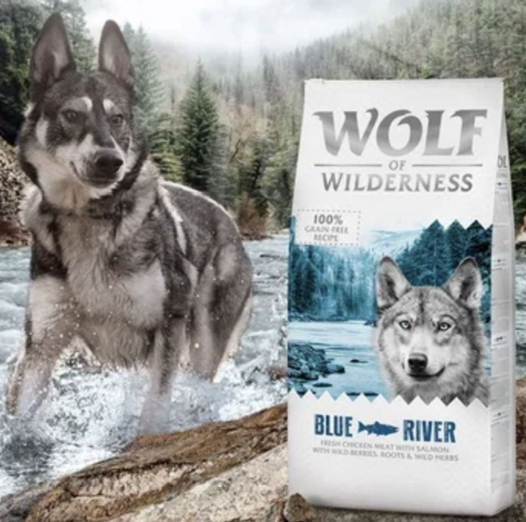 20 Stück Wolf of Wilderness verschiedene Probierbeutel getreidefrei 400g