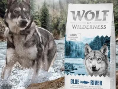 20 Stück Wolf of Wilderness verschiedene Probierbeutel getreidefrei 400g