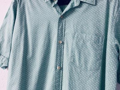 Set of 2 S. Oliver Short Sleeve Shirts, Size L – Top Condition!
