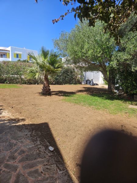 Allrounder Gärtner  bietet Hilfe im Garten