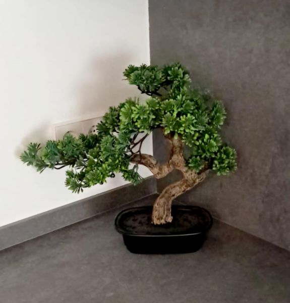 Apartamentos en Venta en Cala Ratjada