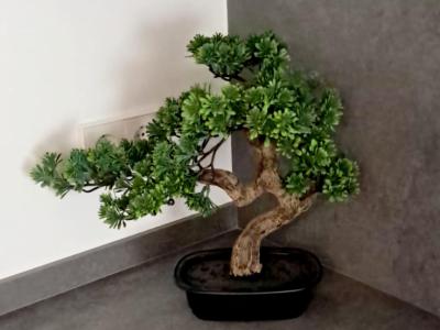 Apartamentos en Venta en Cala Ratjada