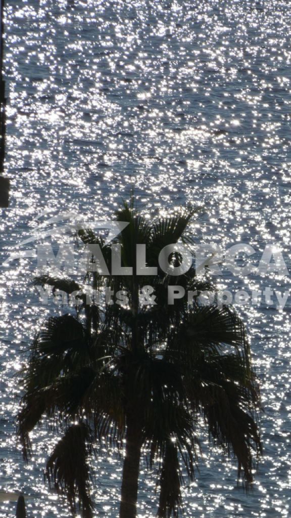 Apartment for rent in Cal Vinyes (Dec 25 to Jun 26)