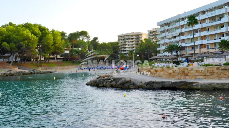 Apartment for rent in Cal Vinyes (Dec 25 to Jun 26)