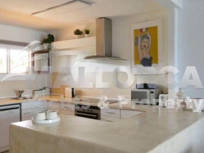 Apartment for rent in Cal Vinyes (Dec 25 to Jun 26)