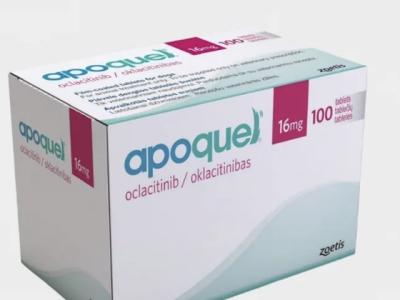 Apoquel 16 mg 100 Tabletten von Zoetis