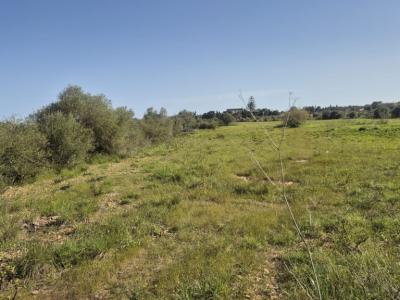 Seafront apartment in Porto Cristo