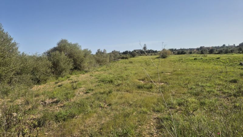 Seafront apartment in Porto Cristo