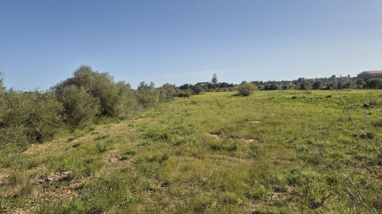 Seafront apartment in Porto Cristo