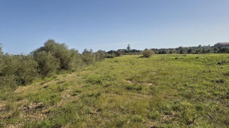Seafront apartment in Porto Cristo