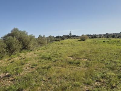 Seafront apartment in Porto Cristo
