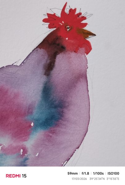 Watercolor of blue-purple hen