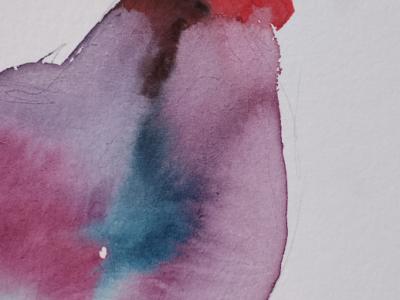 Watercolor of blue-purple hen
