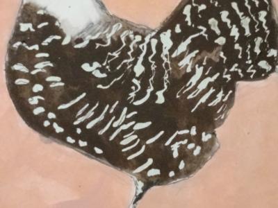 Aquarell einer Henne in Schwarzweiß