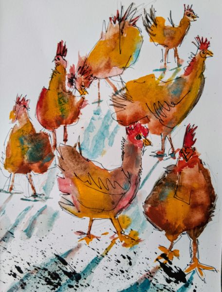 Watercolor of free-range hens