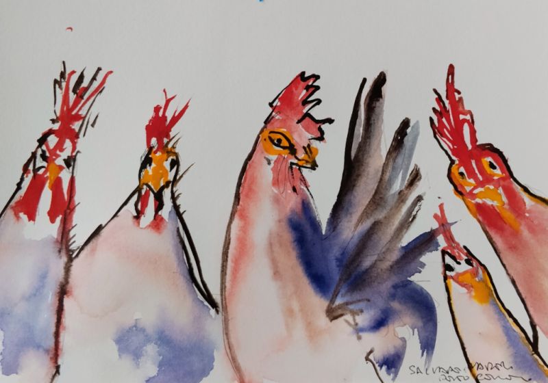 Watercolor of chickens on paper