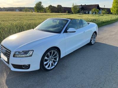 AUDI A5 Cabrio zu verkaufen (Navigation, Alcantara)