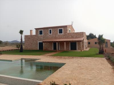 Aufbau und Reform im Allgemeinen.