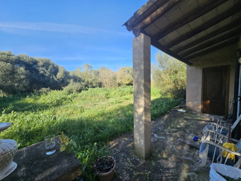 Authentic and lovingly renovated finca, pool, central heating, energy-efficient, no AC