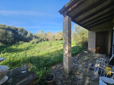 Authentic and lovingly renovated finca, pool, central heating, energy-efficient, no AC