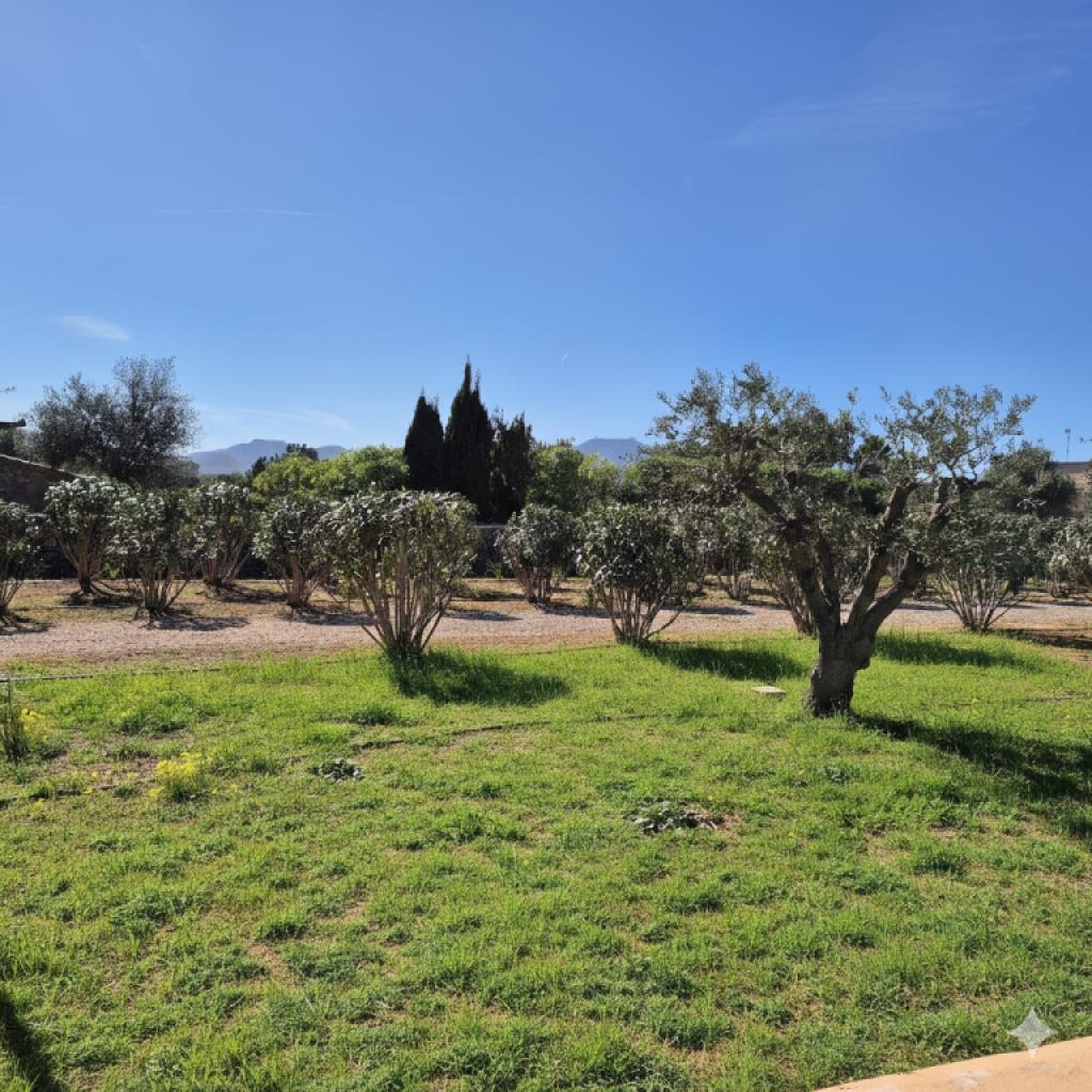 Avantgarde und Natur: Luxusvilla mit Panoramablick zwischen Porto Colom und Manacor