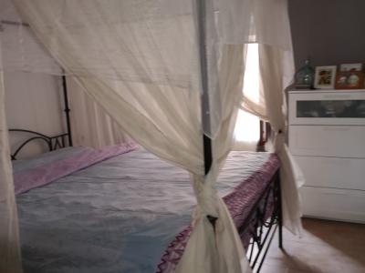 Cama de baldaquino Hierro Forjado