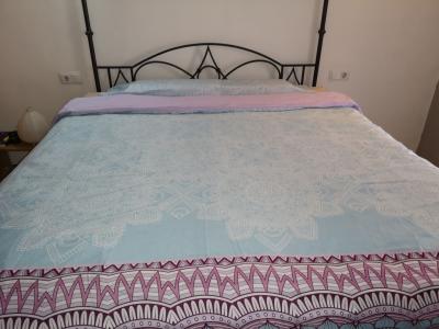 Cama de baldaquino Hierro Forjado