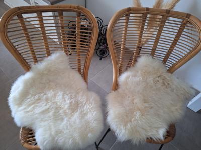 Bamboo chairs 6 pieces