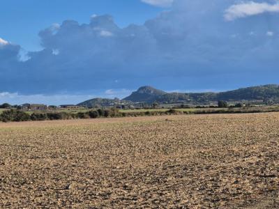 Bau Grundstück zu Verkaufen zona Montuiri