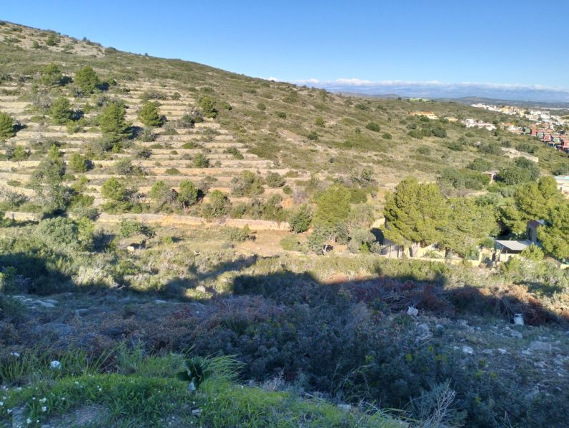 Urban plot in Peñíscola