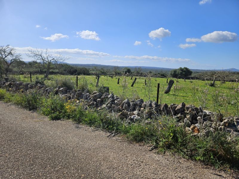 Baugrundstück in Santa Margalida, Mallorca
