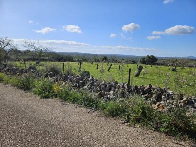 Baugrundstück in Santa Margalida, Mallorca
