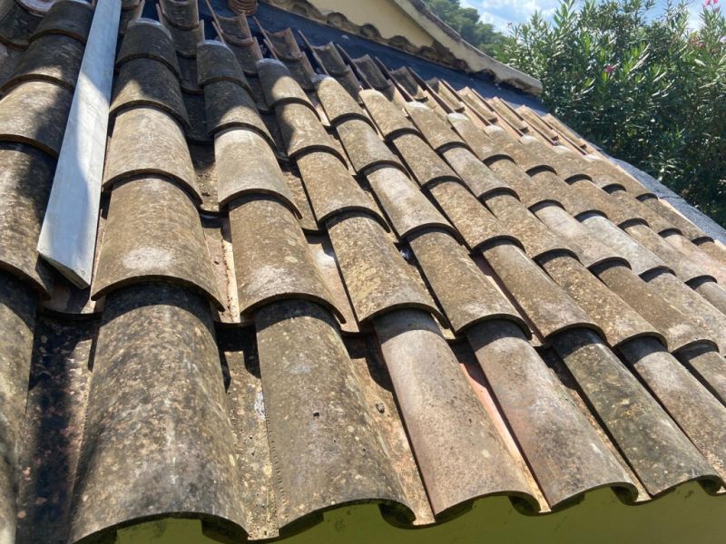 Bauprofi für Wohnungsbau und Renovierungen