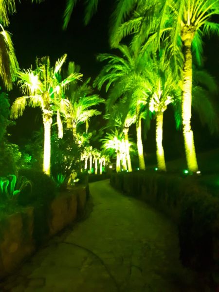 Beleuchtung für Haus und Garten