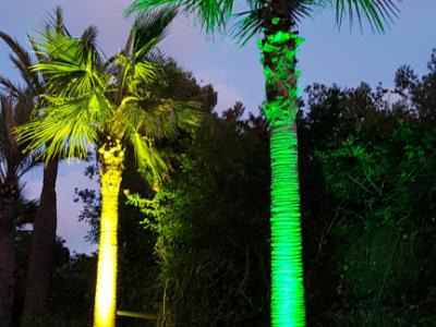 Beleuchtung für Haus und Garten