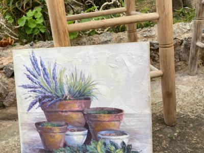 Bild mit Blumentöpfen Pflanze Lavendel