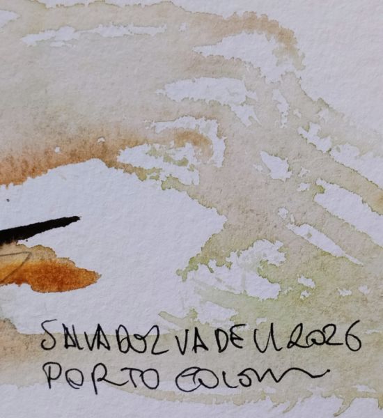 Blauer und roter Hahn