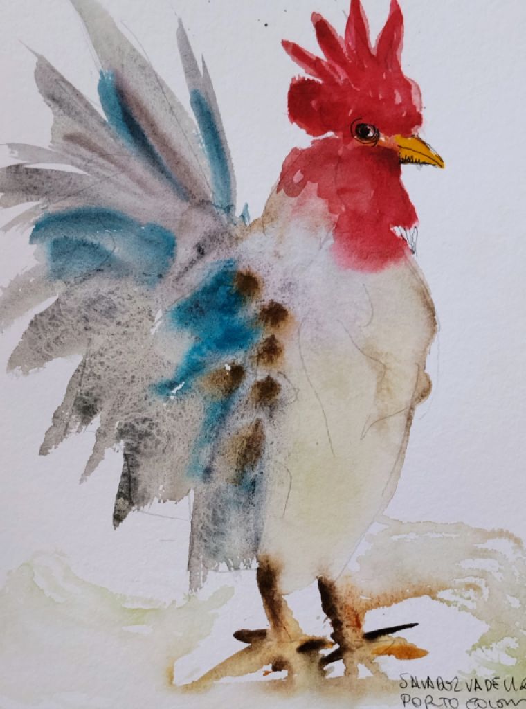 Blauer und roter Hahn