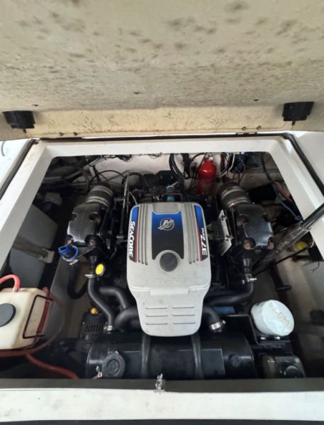 Barco Starcraft SCX 250 – Amarre en Port Adriano