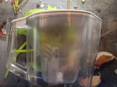 BRITTA Wasserfilter Kanne