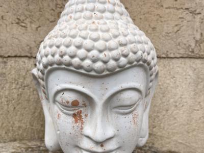 Buddha head stone