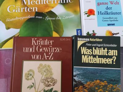 Bücher Heilkräuter und Pflanzen