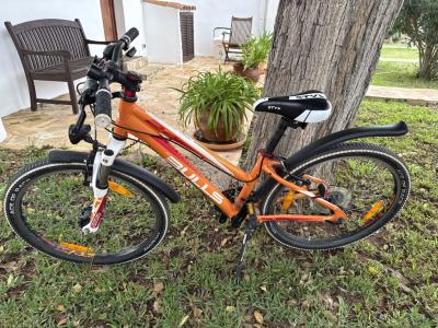 Bulls Sharptail 24 Zoll